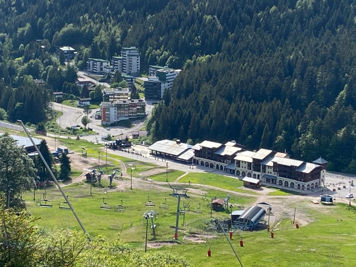 Belle Hutte 2